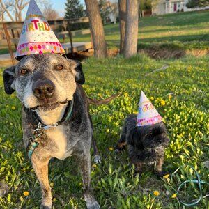 Meet your Posher, Tom